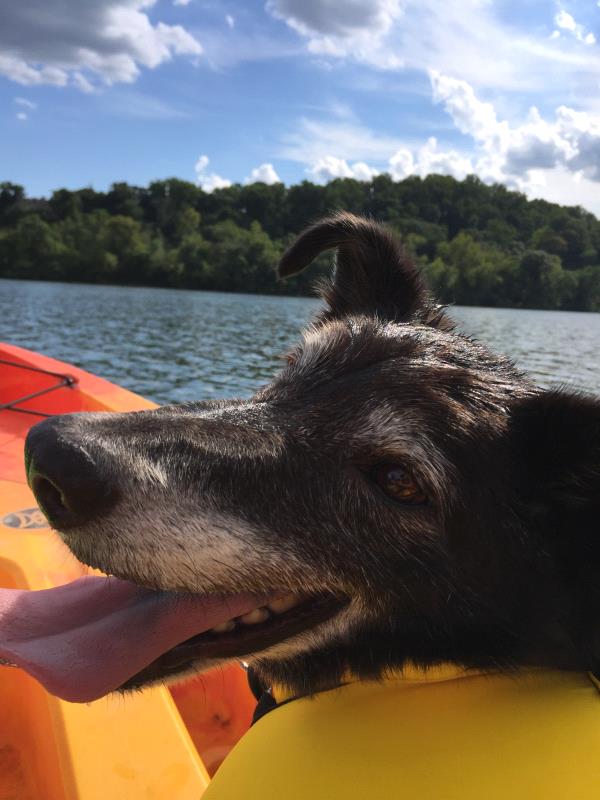 /Images/uploads/Humane Rescue Alliance/HRACalendarPhotoContest/entries/9105thumb.jpg